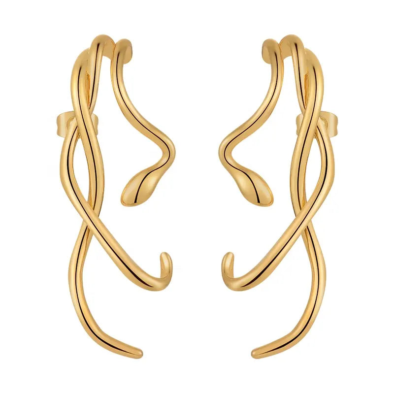 Curvy Snake Earrings  For Women
